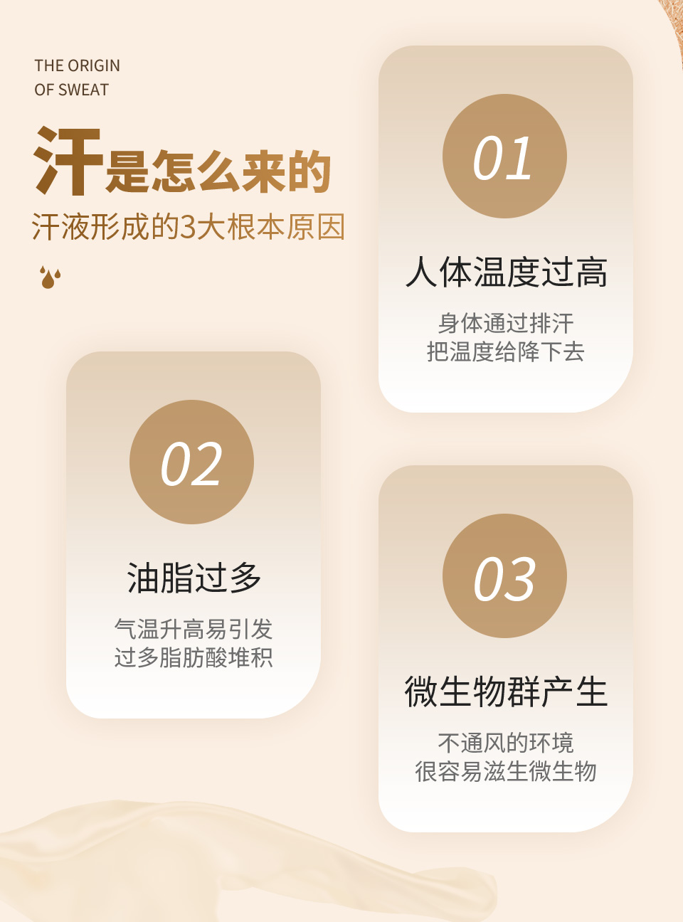 zhihanji_02.jpg